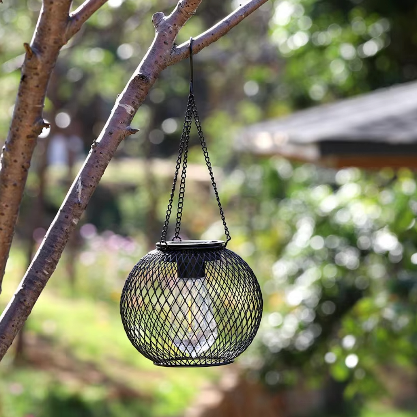 Outdoor Solar Lanterns